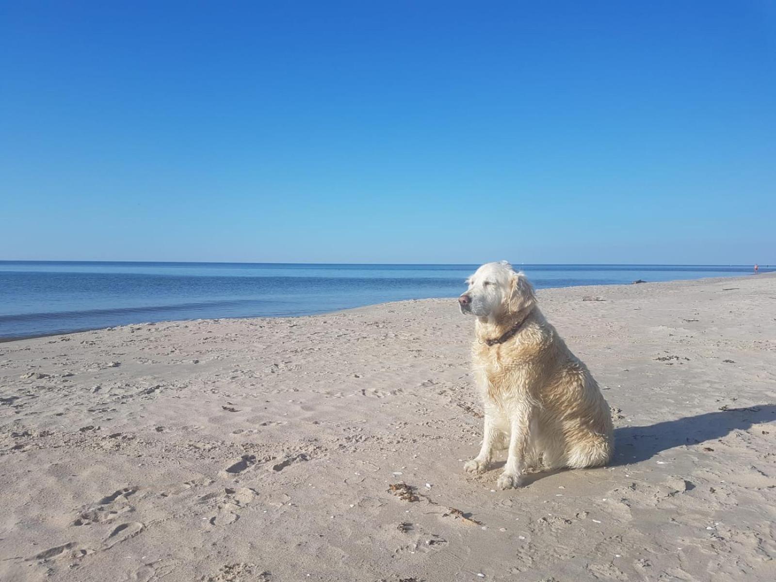 "Morskie Katy" - Kąty Rybackie Buitenkant foto